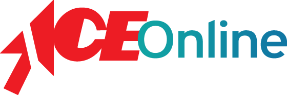 אייס קופון 7% הנחה למזמינים דרך האתר