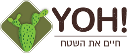 תרסיס לכף הרגל
